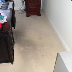 Dirty carpet before cleaning
