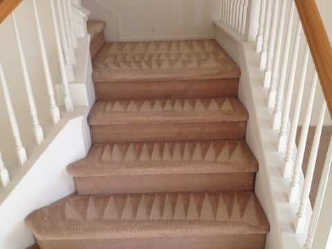 Freshly cleaned carpeted staircase
