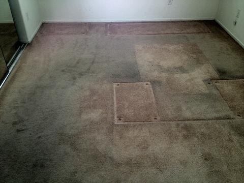 Before cleaned carpet